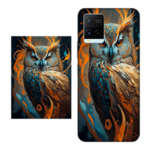 Vivo V23