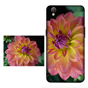 OPPO A37